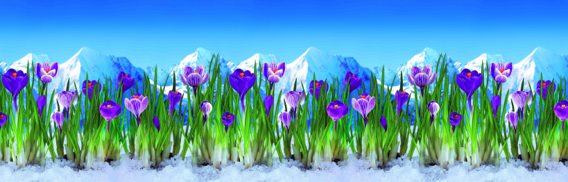 Кухонный фартук Шафран 3000x600x1.5 мм глянец