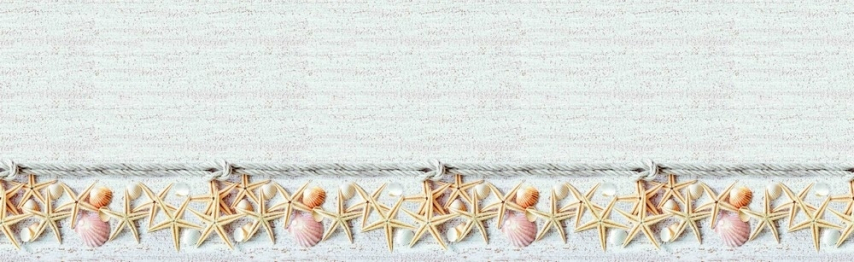 Кухонный фартук Ракушки 3000x600x1.5 мм глянец